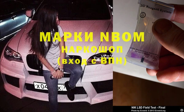 ПСИЛОЦИБИНОВЫЕ ГРИБЫ Алзамай