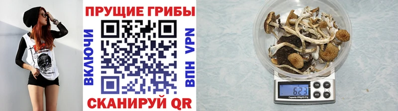 ОМГ ОМГ ONION  Бобров  Псилоцибиновые грибы мухоморы 